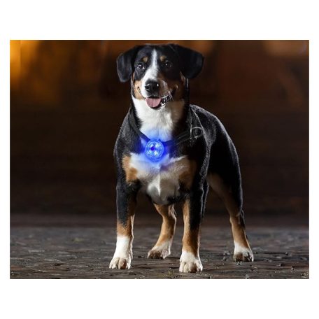 Nyakörvre szerelhető világítás kisállatoknak