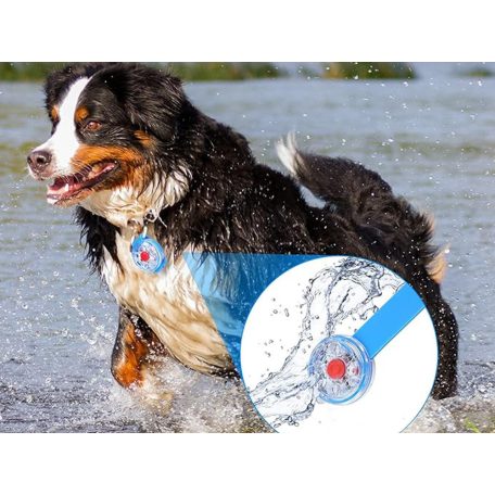 Nyakörvre szerelhető világítás kisállatoknak