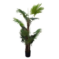 170 cm mű pálmafa cserépben - Virginia