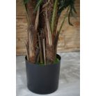 170 cm mű pálmafa cserépben - Virginia
