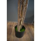 180 cm-es mű Schefflera chinensis cserépben