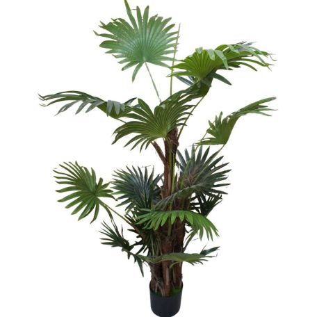 150 cm mű pálmafa cserépben - Virginia