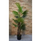 150 cm mű pálmafa cserépben - Virginia