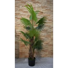 150 cm mű pálmafa cserépben - Virginia