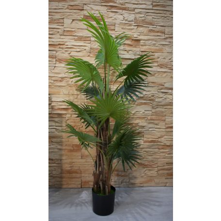 150 cm mű pálmafa cserépben - Virginia