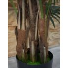 150 cm mű pálmafa cserépben - Virginia