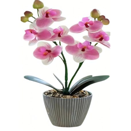 33 cm mű Phalaenopsis cserépben