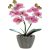 33 cm mű Phalaenopsis cserépben