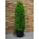 Mű tuja cserépben - 85 cm x 25 cm