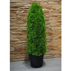 Mű tuja cserépben - 85 cm x 25 cm