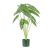70 cm mű alocasia cserépben
