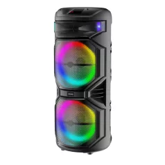   Nagy méretű hordozható party hangfal 2 mikrofonnal és fényekkel - 1000 W PMPO