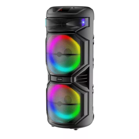 Nagy méretű hordozható party hangfal 2 mikrofonnal és fényekkel - 1000 W PMPO