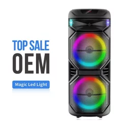   Nagy méretű hordozható party hangfal 2 mikrofonnal és fényekkel - 1000 W PMPO